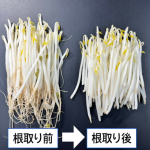 beansprouts_根取り