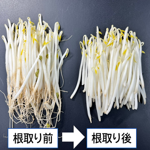 beansprouts_根取り