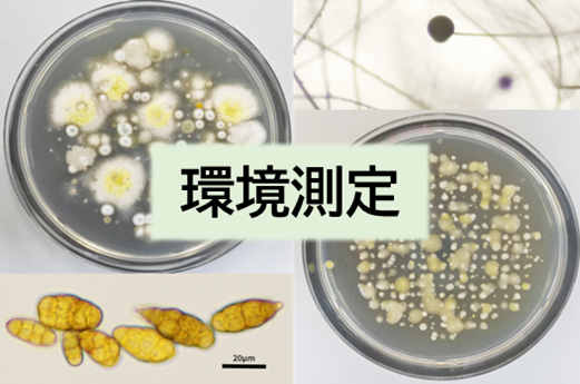 環境測定