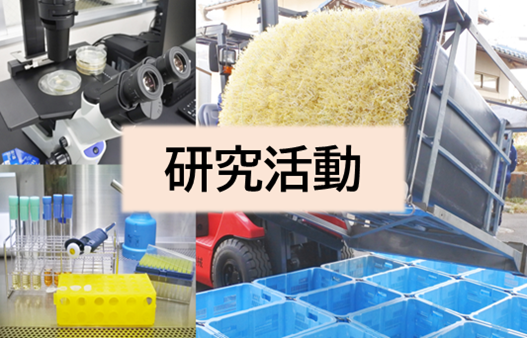研究活動