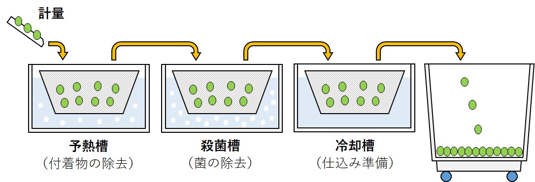 種子殺菌イラスト